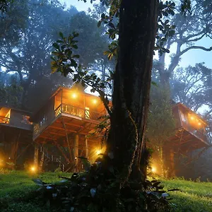 Semesteranläggning (resort) Nature Zone Jungle
